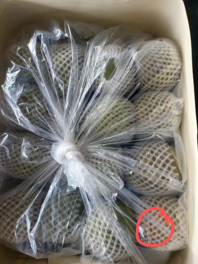 好货在等你，