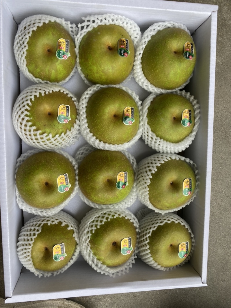 好货在等你，
