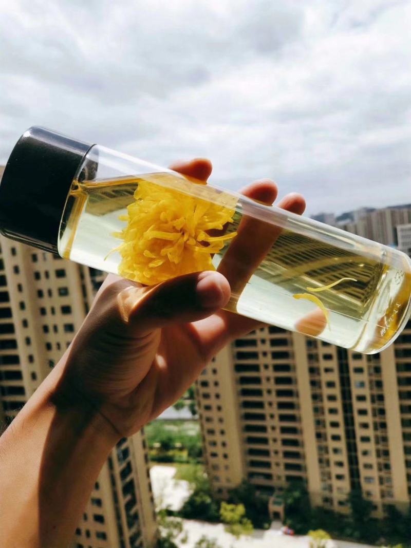 新货产地直发菊花茶一朵一杯清香甘甜一包一百朵独立包装批发
