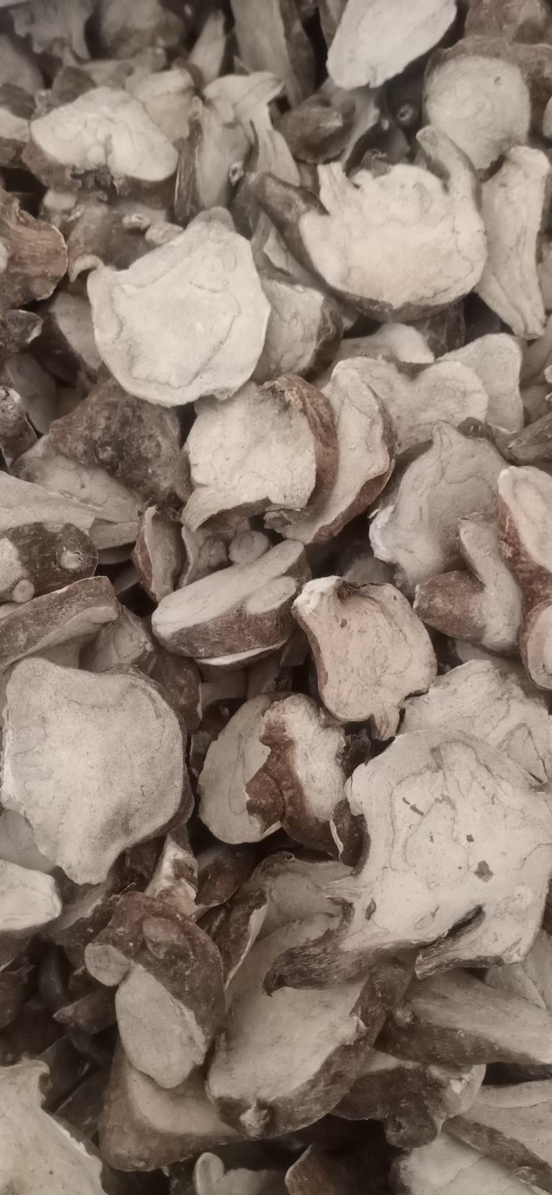 香附产地四川实物拍摄大货供应规格齐全量大优惠。
