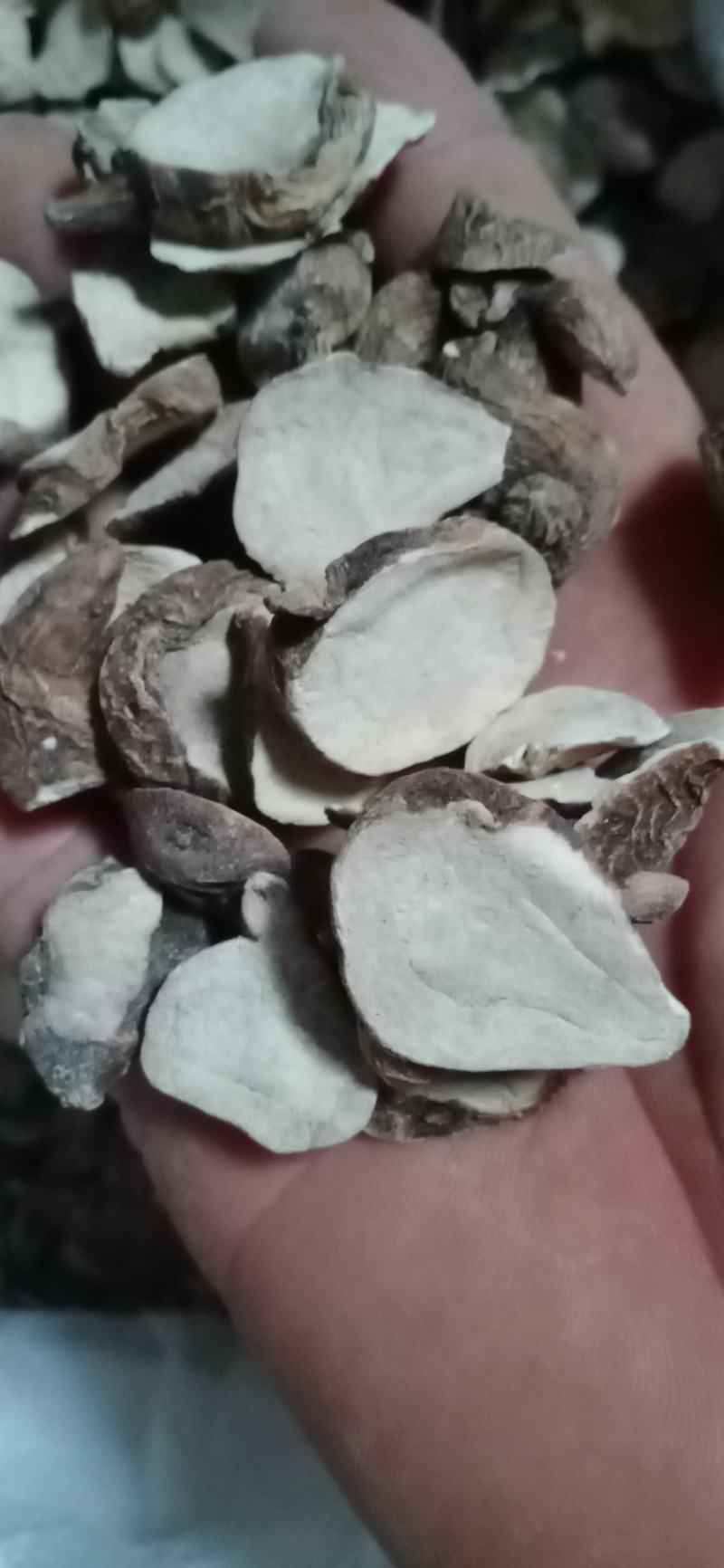 香附产地四川实物拍摄大货供应规格齐全量大优惠。