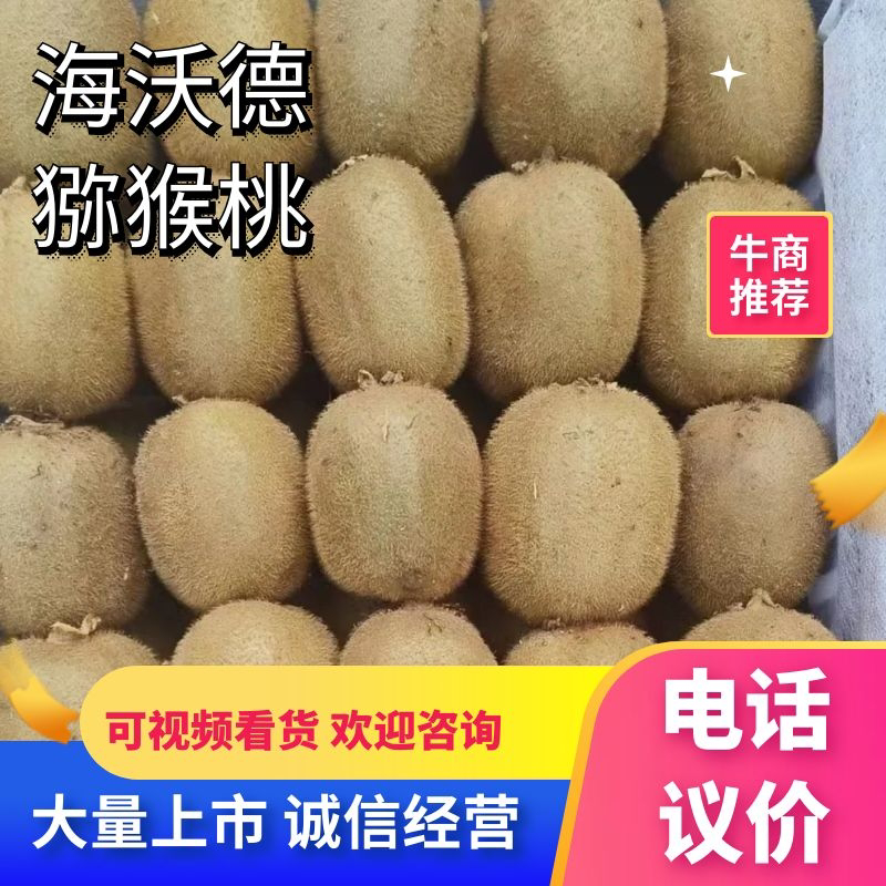 【精选】海沃德猕猴桃大量供应产地直发保质保量欢迎致电