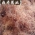 【玉米须】产地实物拍摄大货供应规格齐全量大优惠。