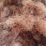 【玉米须】产地实物拍摄大货供应规格齐全量大优惠。
