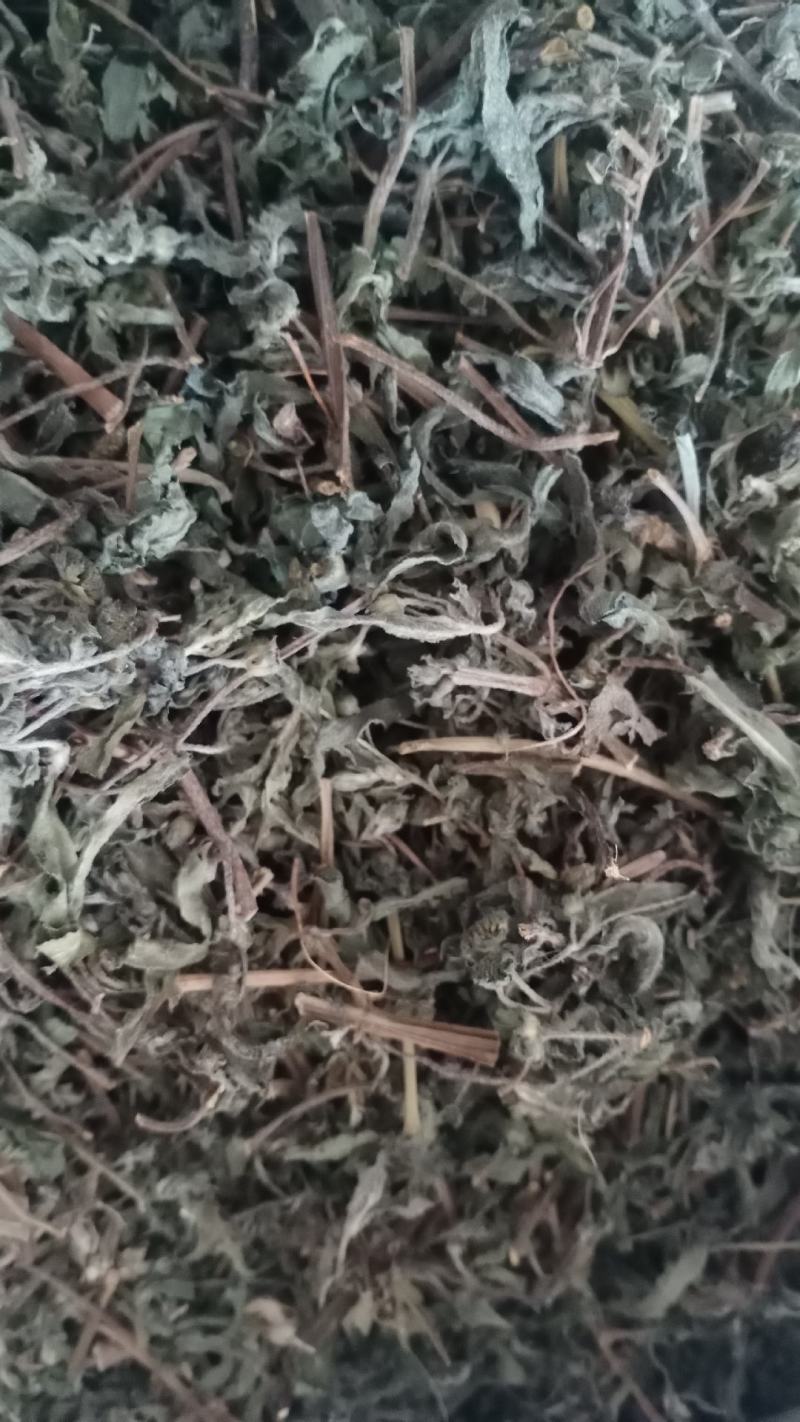旱莲草产地山东实物拍摄大货供应规格齐全量大优惠电联