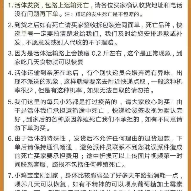 活体鹌鹑苗鹌鹑幼苗活体小鹌鹑活苗批发