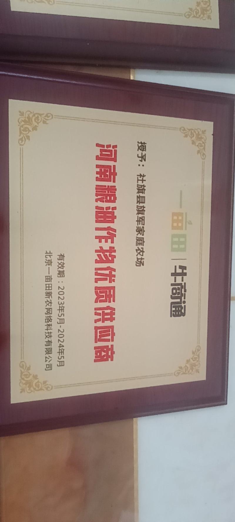 河南308罗汉花生手剥米纯度96%以上和手捡果产地直供