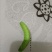 豆虫