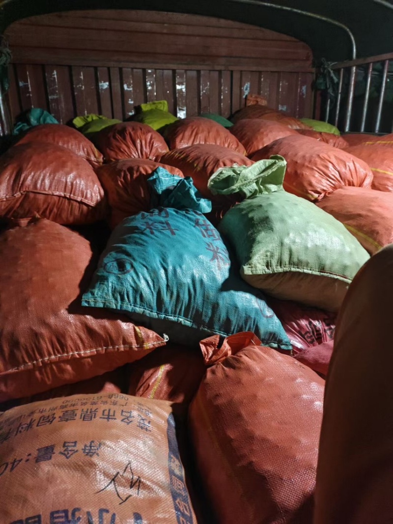 【精选阳荷姜新鲜洋荷姜】湖北恩施产地直发全国市场