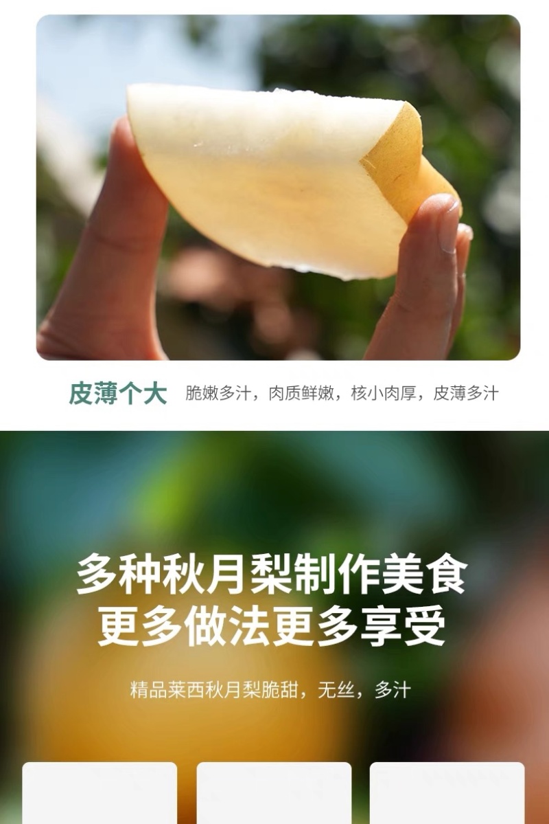 山东秋月梨5斤香梨子新鲜当季整箱包邮水果皮薄多汁代发