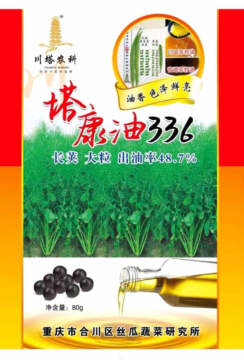 油菜种子塔康油336长荚大粒高出油率分枝多抗倒伏