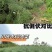 油菜种子塔康油336长荚大粒高出油率分枝多抗倒伏