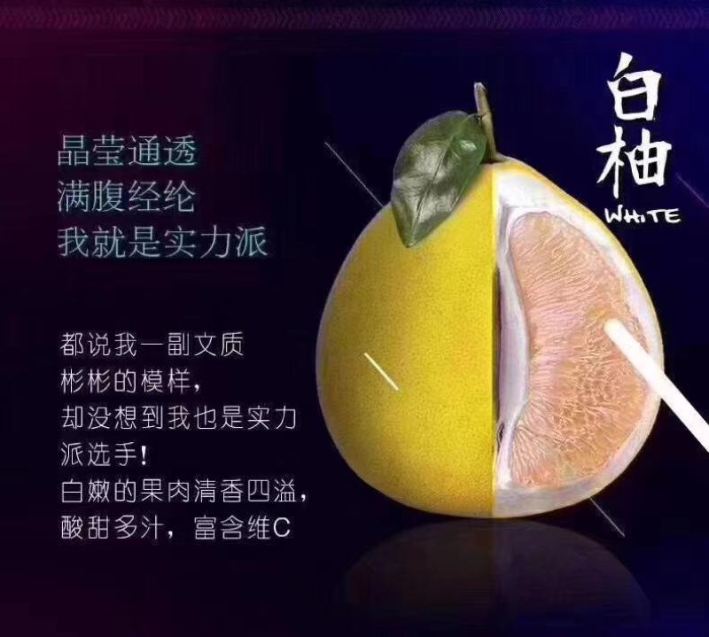 平和琯溪三红柚，白柚，红柚，产地直发代办，工厂代加工