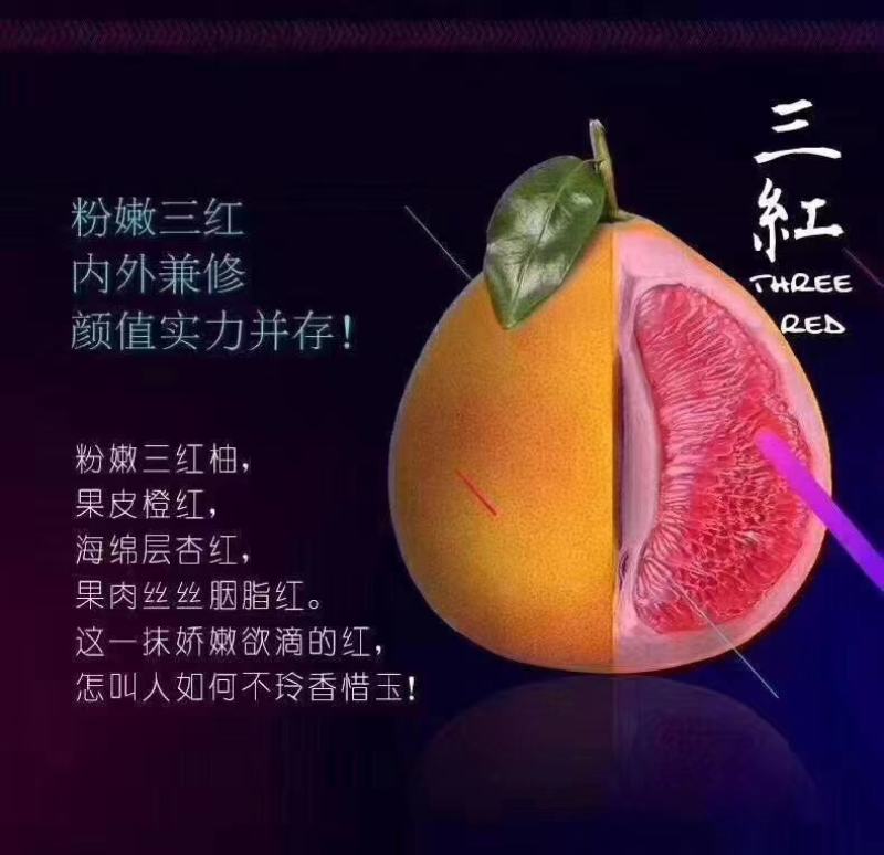 平和琯溪三红柚，白柚，红柚，产地直发代办，工厂代加工