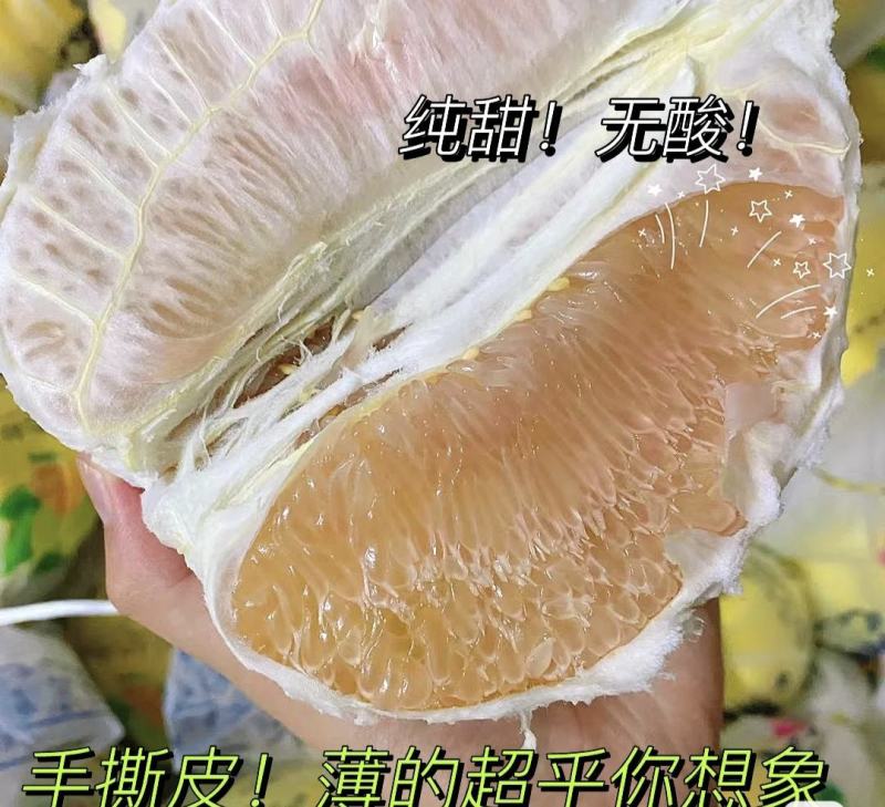 平和琯溪三红柚，白柚，红柚，产地直发代办，工厂代加工