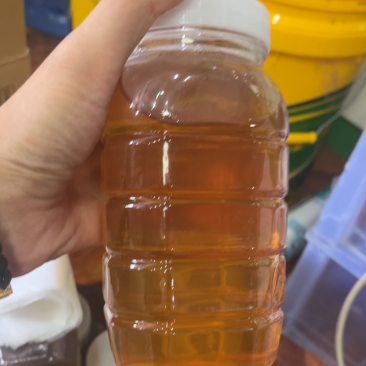 自产蜂蜜