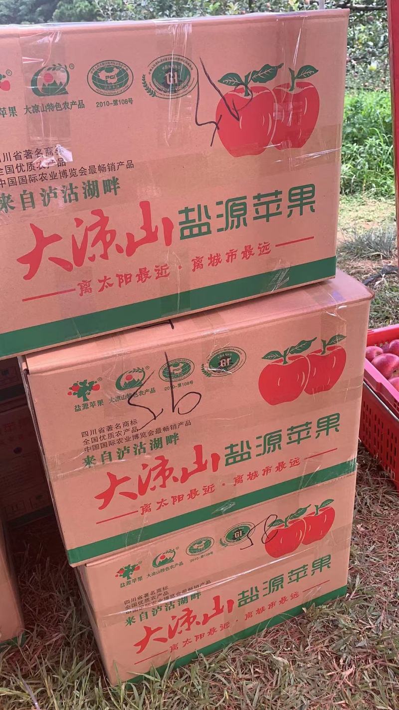 云南高原红将军苹果大量上市欢迎电商、市场客户前来参观考察