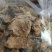 秋葵花，产地一手货源，现货无硫无熏蒸24小时内发货