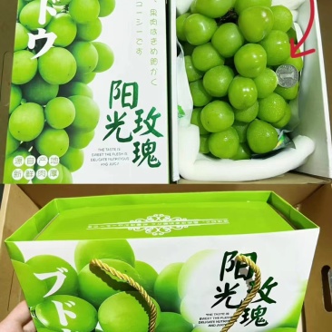 【精品】阳光玫瑰葡萄-一手货源-量大从优-包熟包甜