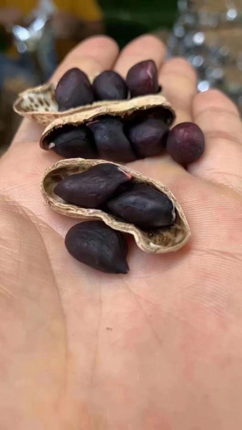 云南黑花生米，供应超市，档口，电商社区团购