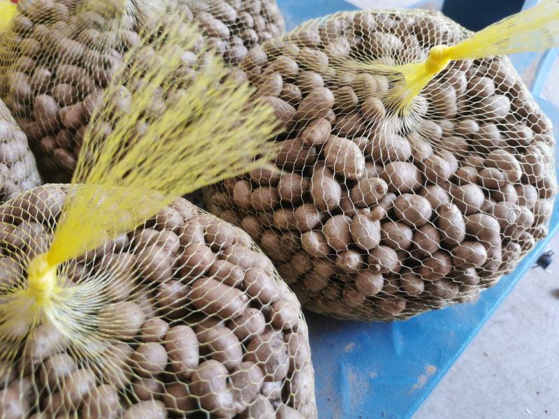 精品山药豆接各大电商平台代发平台电商专用山药豆糖葫芦专用