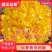 鲜辣椒黄剁椒黄贡剁椒