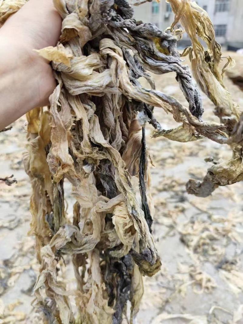 盐菜，干菜心，捞菜，厂家直销，48小时发货