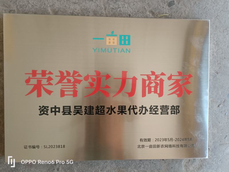 蜜桔：纯甜、汁多化渣，水份足、产地直供实力代办