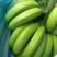 广东郁南香蕉预售基地直发品质保证一手货源量大从