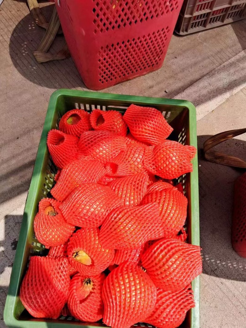 突尼斯软籽石榴大量上市，物优价美，品质保证，走货便利