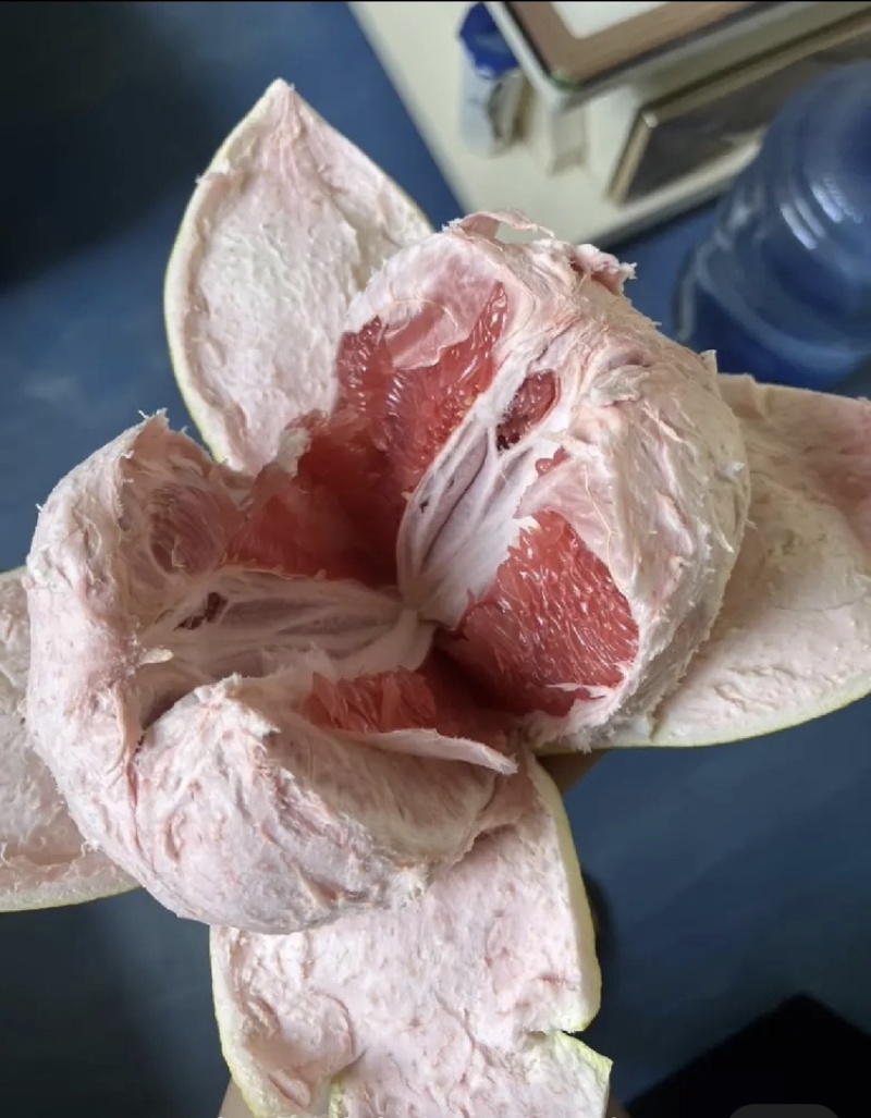 梅州大埔三红柚