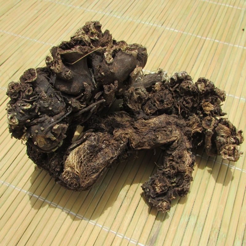 甘肃野生升麻个子质量远超切片货原药材才是地道源头货无硫