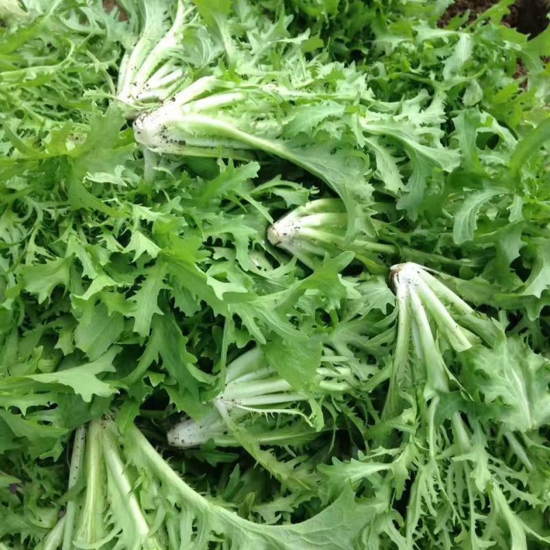 大同市仝家湾蔬菜批发