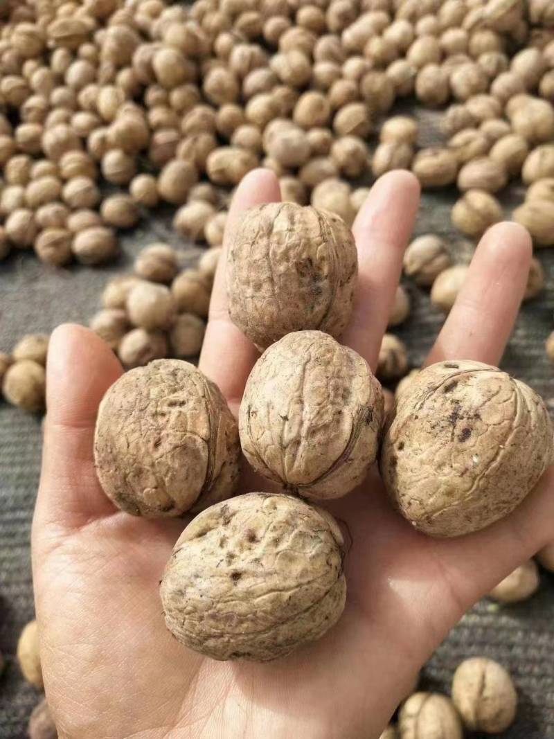 新疆185薄皮核桃，皮薄肉多