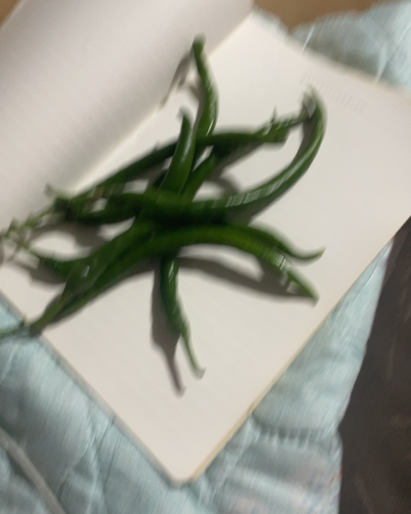 线椒