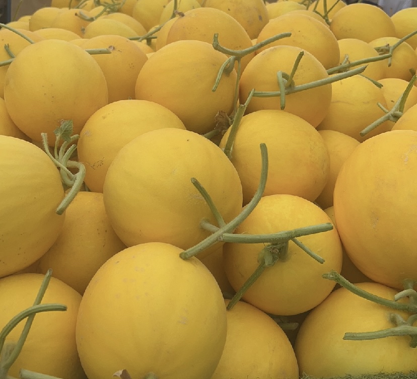 一杯香甜可口的哈密瓜果汁,装在透明玻璃杯中,色泽金黄 哈密瓜果汁成品图