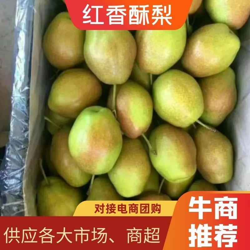 陕西冷库红香酥梨大量供应，一手货源，质量保证，规格齐全！