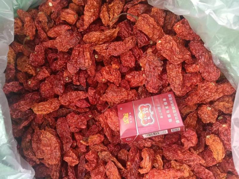 高辣度魔鬼辣椒新货上市