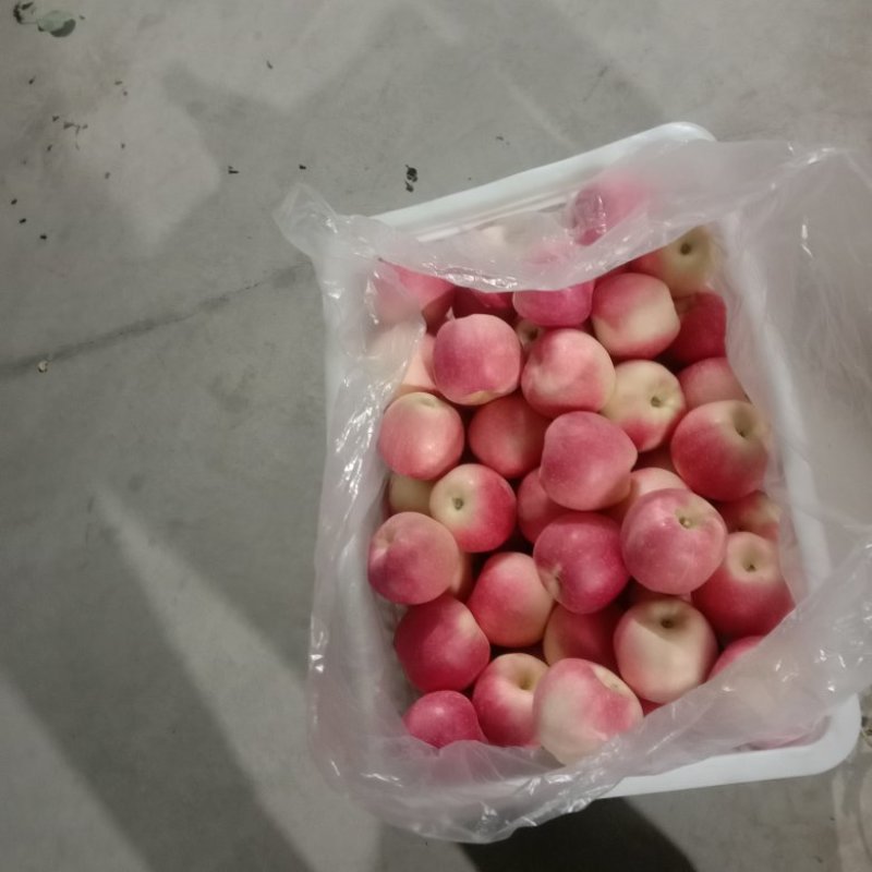 嘎拉苹果