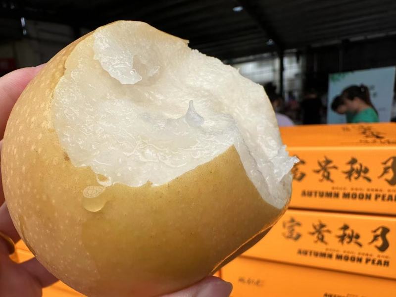 高，中，低档秋月梨。电商商超团购货源充足