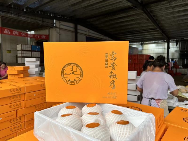 高，中，低档秋月梨。电商商超团购货源充足