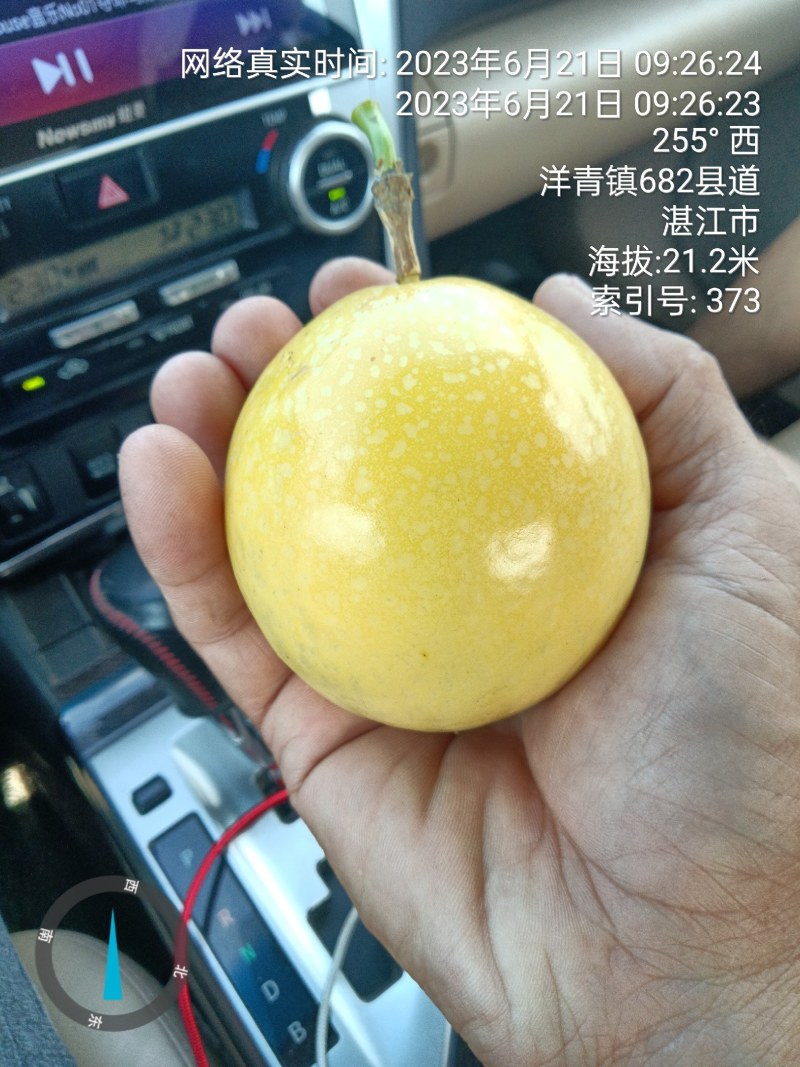 广东百香果