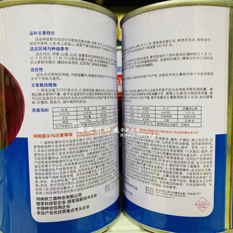 欧兰德洋葱种子紫福紫红皮洋葱种子中高桩高圆球洋葱籽口感好