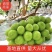 【阳光玫瑰】晴王精品包装，电商一件代发，质量有保证
