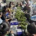 【阳光玫瑰】晴王精品包装，电商一件代发，质量有保证