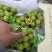 【阳光玫瑰】晴王精品包装，电商一件代发，质量有保证