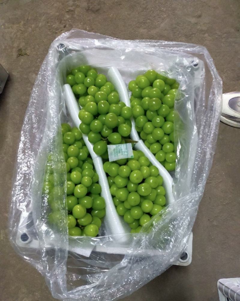 【阳光玫瑰】晴王精品包装，电商一件代发，质量有保证