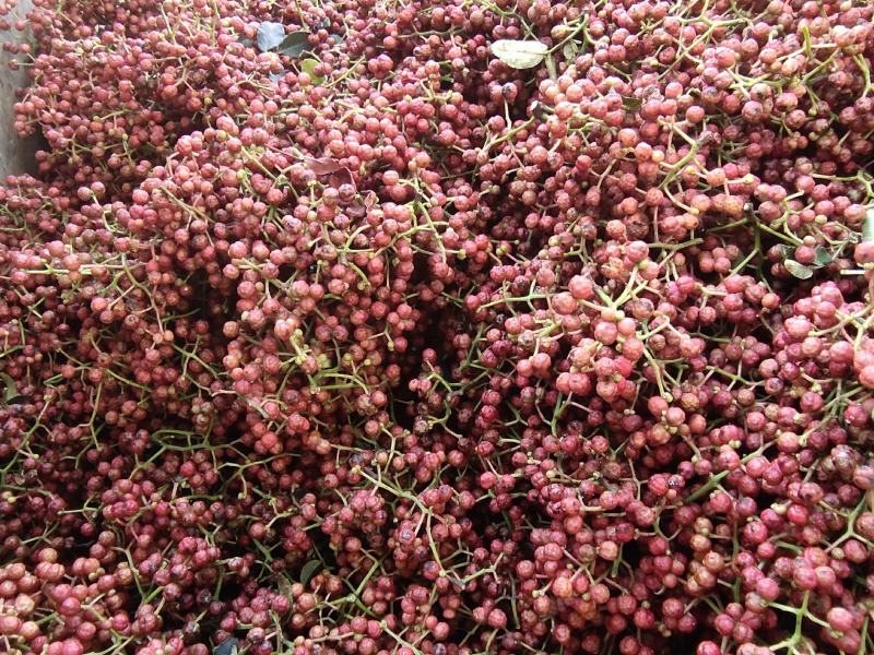 干花椒陕西渭南富平大红袍产地直供