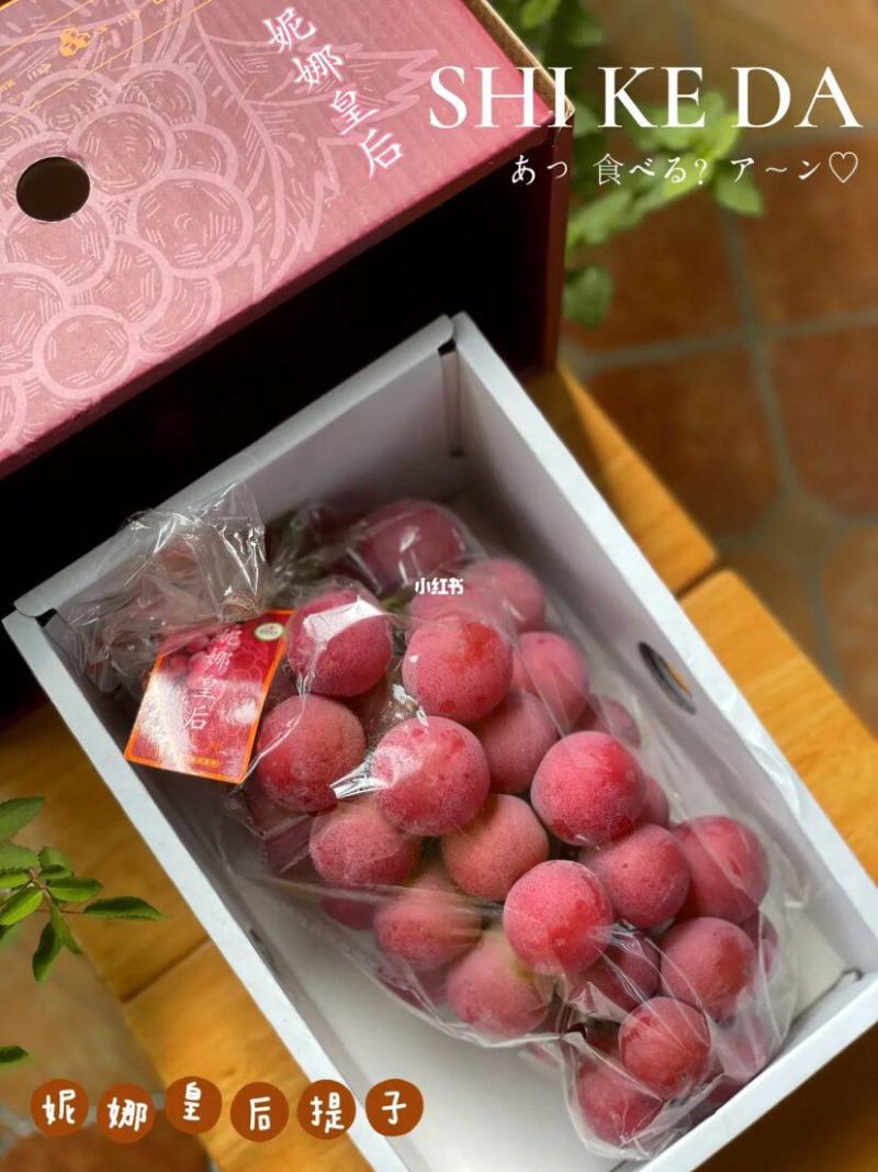 陕西妮娜皇后葡萄批发妮娜皇后葡萄基地价格