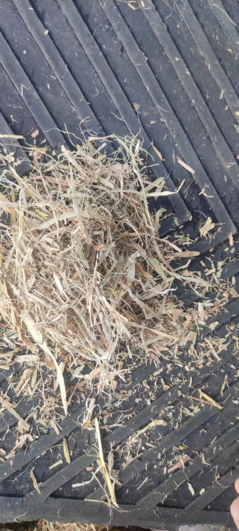 玉米秸秆小套袋牛羊草料